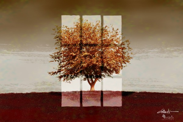 Window on a Sienna Tree 3x2 by Veratis Editions
